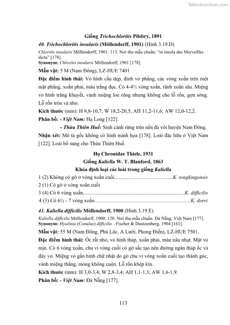 Luận án tiến sĩ sinh học Khu hệ Thân mềm Chân bụng Mollusca: Gastropoda ở nước ngọt và trên cạn Thừa Thiên Huế - 11 Trang 126
