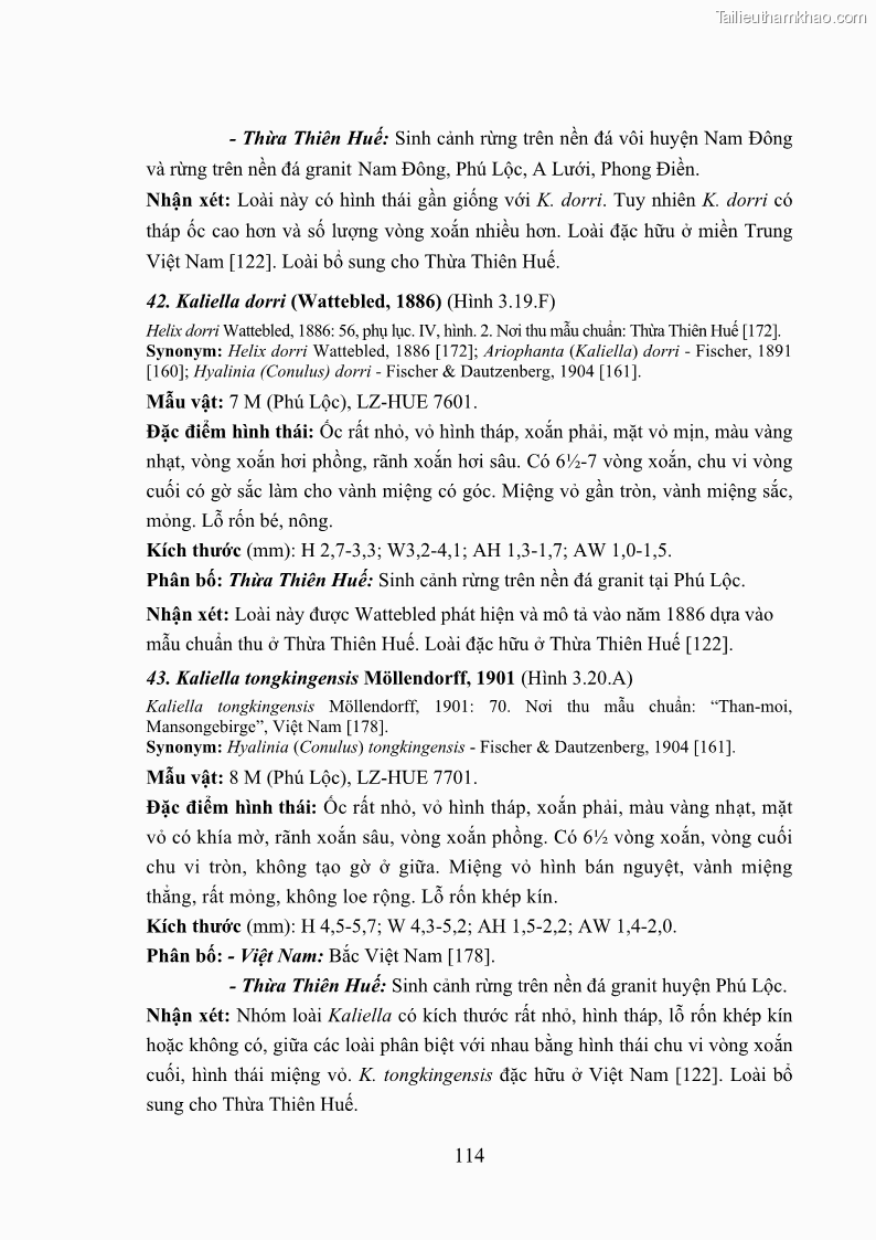 Luận án tiến sĩ sinh học Khu hệ Thân mềm Chân bụng Mollusca: Gastropoda ở nước ngọt và trên cạn Thừa Thiên Huế - 11 Trang 127