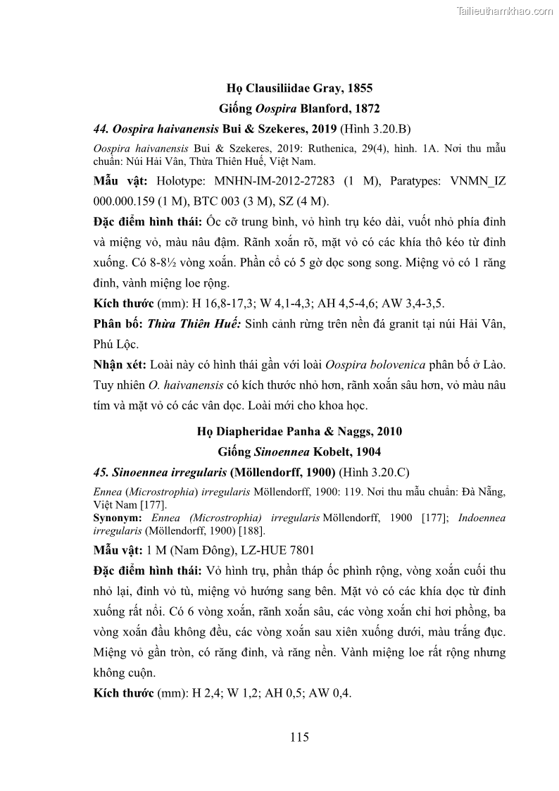 Luận án tiến sĩ sinh học Khu hệ Thân mềm Chân bụng Mollusca: Gastropoda ở nước ngọt và trên cạn Thừa Thiên Huế - 11 Trang 128