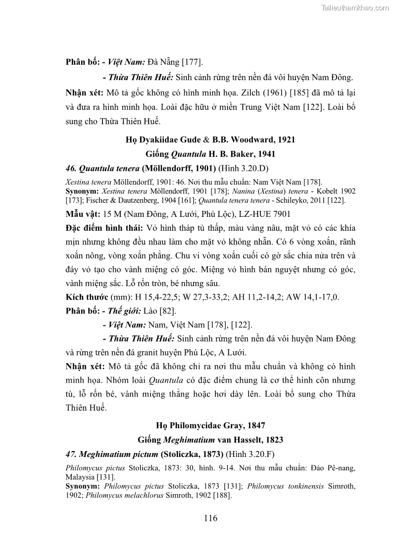 Luận án tiến sĩ sinh học Khu hệ Thân mềm Chân bụng Mollusca: Gastropoda ở nước ngọt và trên cạn Thừa Thiên Huế - 11 Trang 129