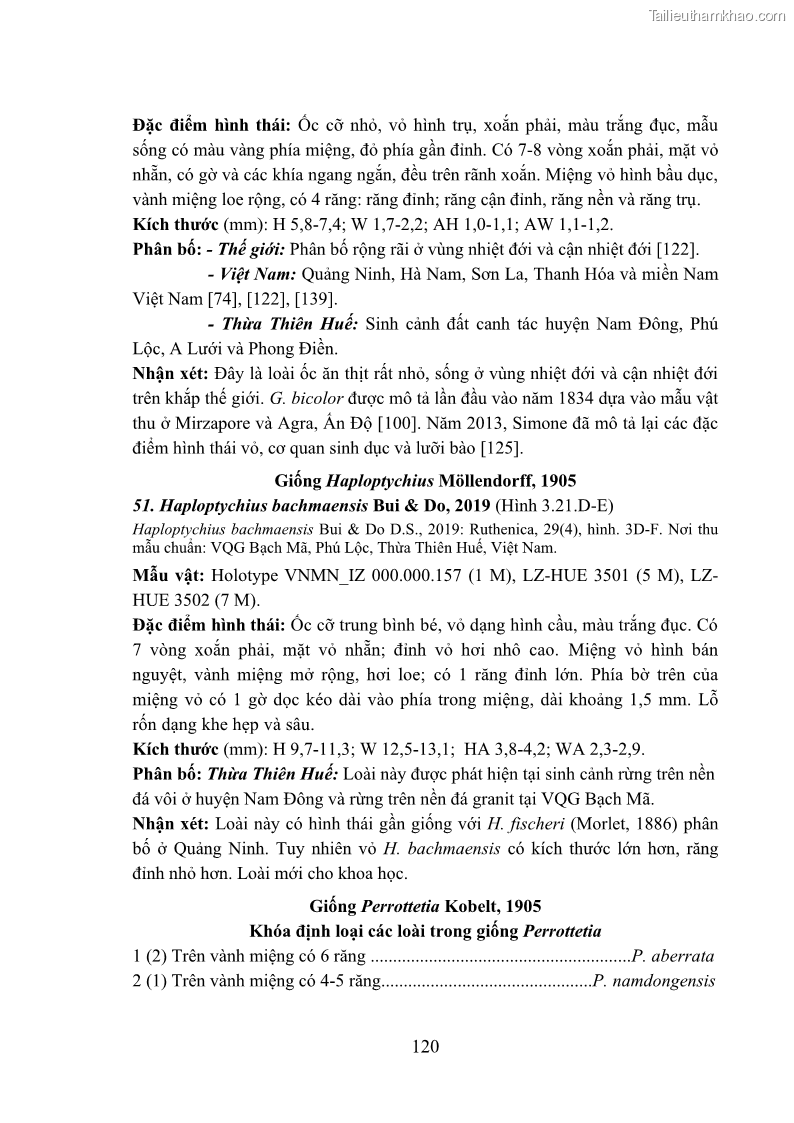 Luận án tiến sĩ sinh học Khu hệ Thân mềm Chân bụng Mollusca: Gastropoda ở nước ngọt và trên cạn Thừa Thiên Huế - 12 Trang 133