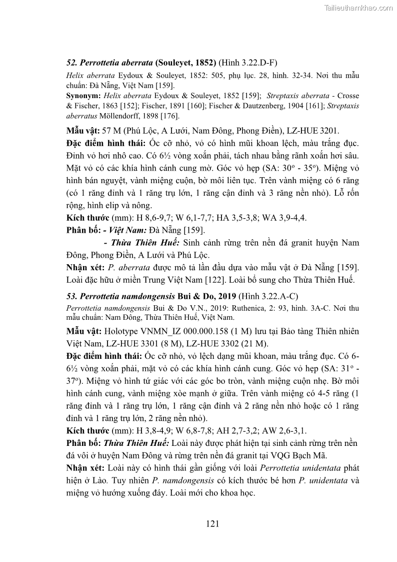 Luận án tiến sĩ sinh học Khu hệ Thân mềm Chân bụng Mollusca: Gastropoda ở nước ngọt và trên cạn Thừa Thiên Huế - 12 Trang 134