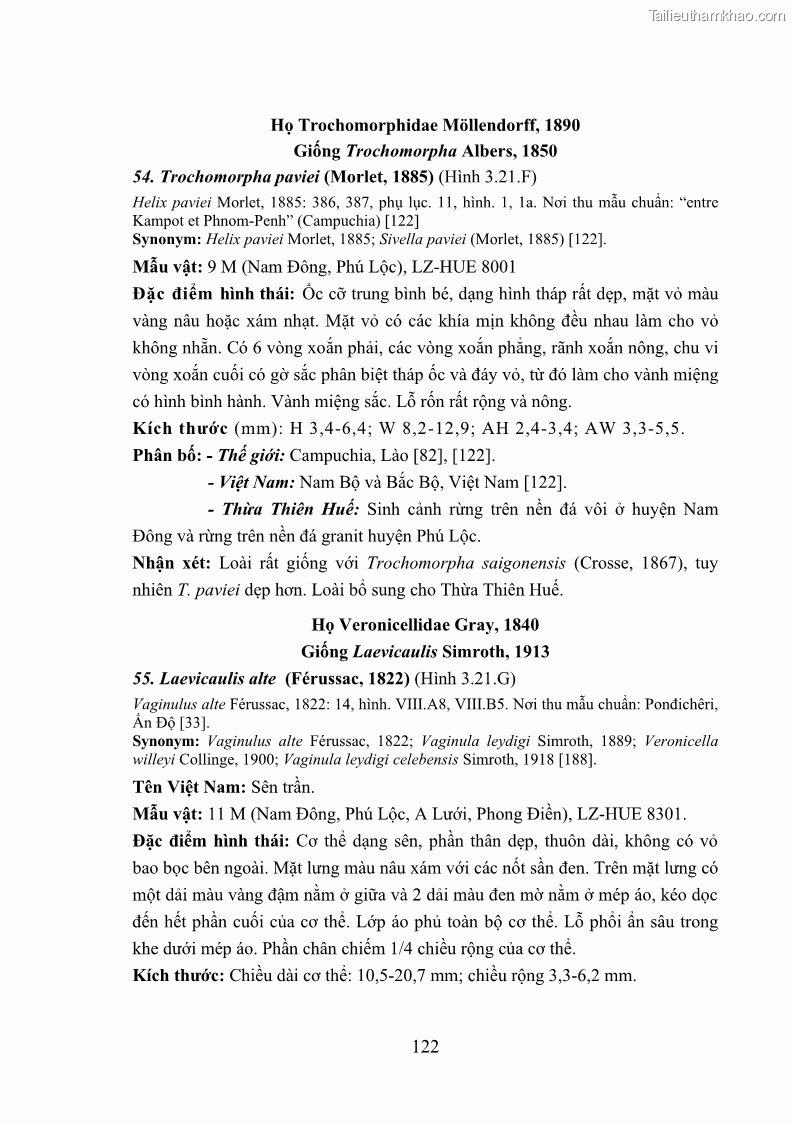 Luận án tiến sĩ sinh học Khu hệ Thân mềm Chân bụng Mollusca: Gastropoda ở nước ngọt và trên cạn Thừa Thiên Huế - 12 Trang 135