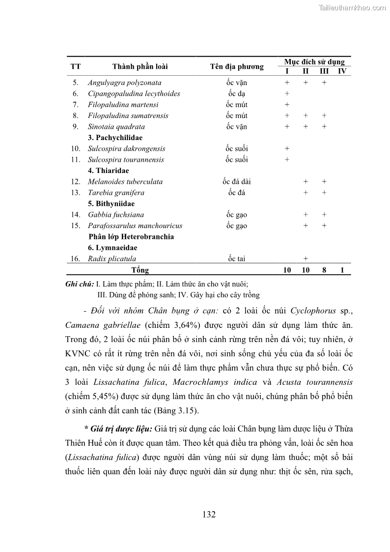 Luận án tiến sĩ sinh học Khu hệ Thân mềm Chân bụng Mollusca: Gastropoda ở nước ngọt và trên cạn Thừa Thiên Huế - 13 Trang 145