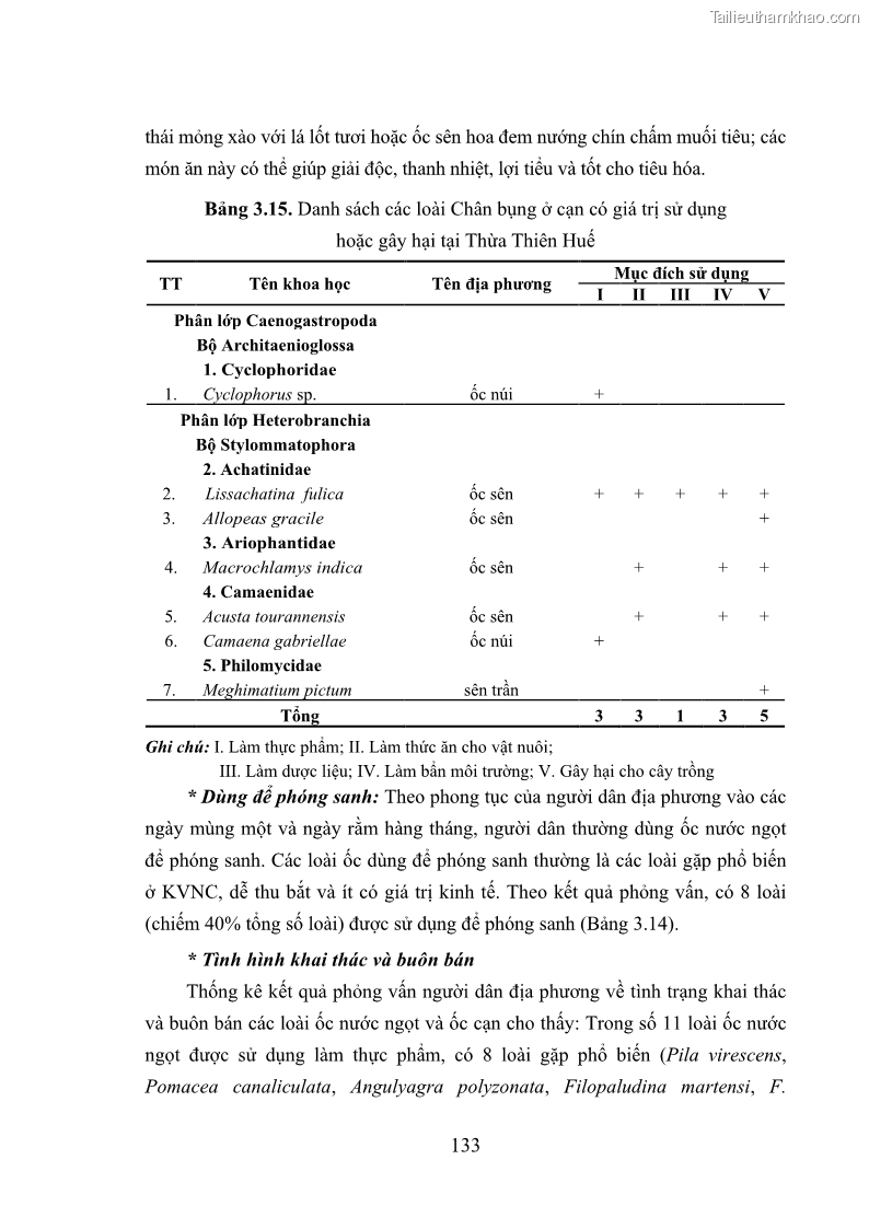 Luận án tiến sĩ sinh học Khu hệ Thân mềm Chân bụng Mollusca: Gastropoda ở nước ngọt và trên cạn Thừa Thiên Huế - 13 Trang 146