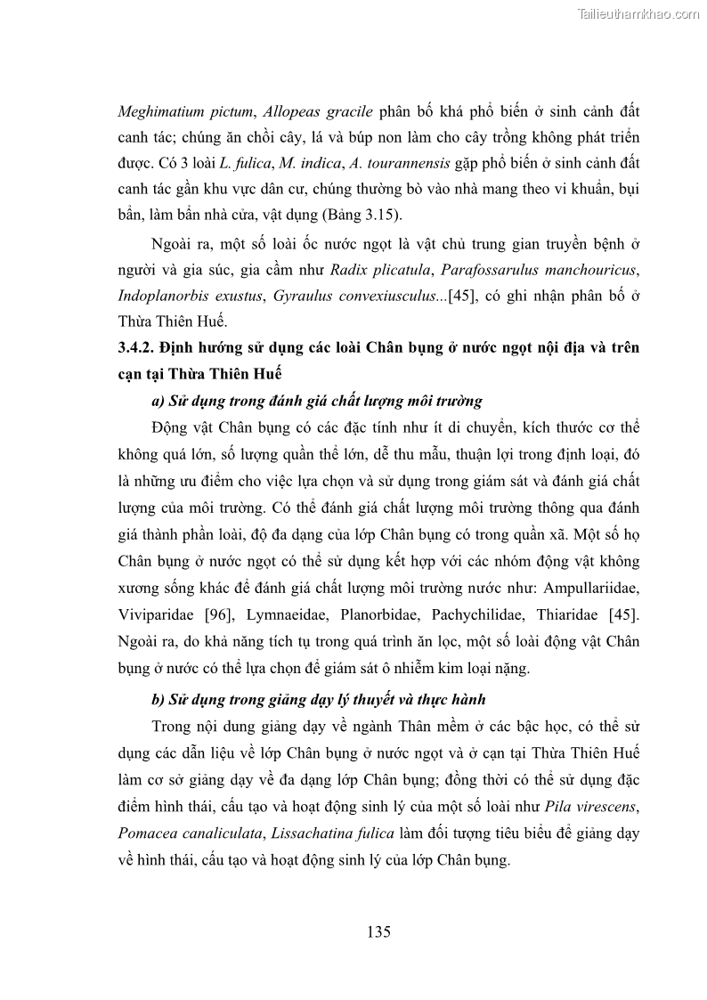 Luận án tiến sĩ sinh học Khu hệ Thân mềm Chân bụng Mollusca: Gastropoda ở nước ngọt và trên cạn Thừa Thiên Huế - 13 Trang 148