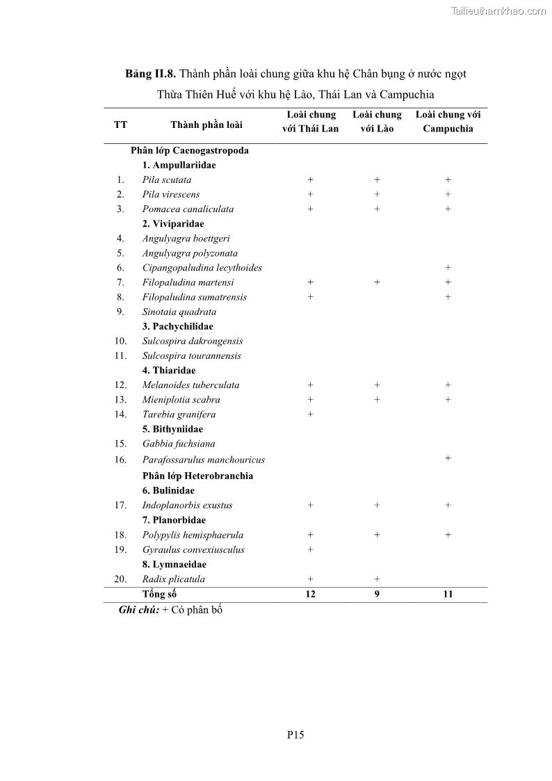 Luận án tiến sĩ sinh học Khu hệ Thân mềm Chân bụng Mollusca: Gastropoda ở nước ngọt và trên cạn Thừa Thiên Huế - 16 Trang 191