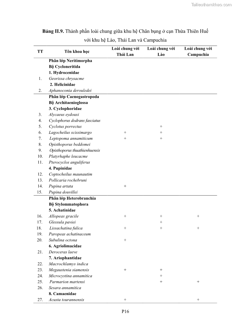 Luận án tiến sĩ sinh học Khu hệ Thân mềm Chân bụng Mollusca: Gastropoda ở nước ngọt và trên cạn Thừa Thiên Huế - 16 Trang 192
