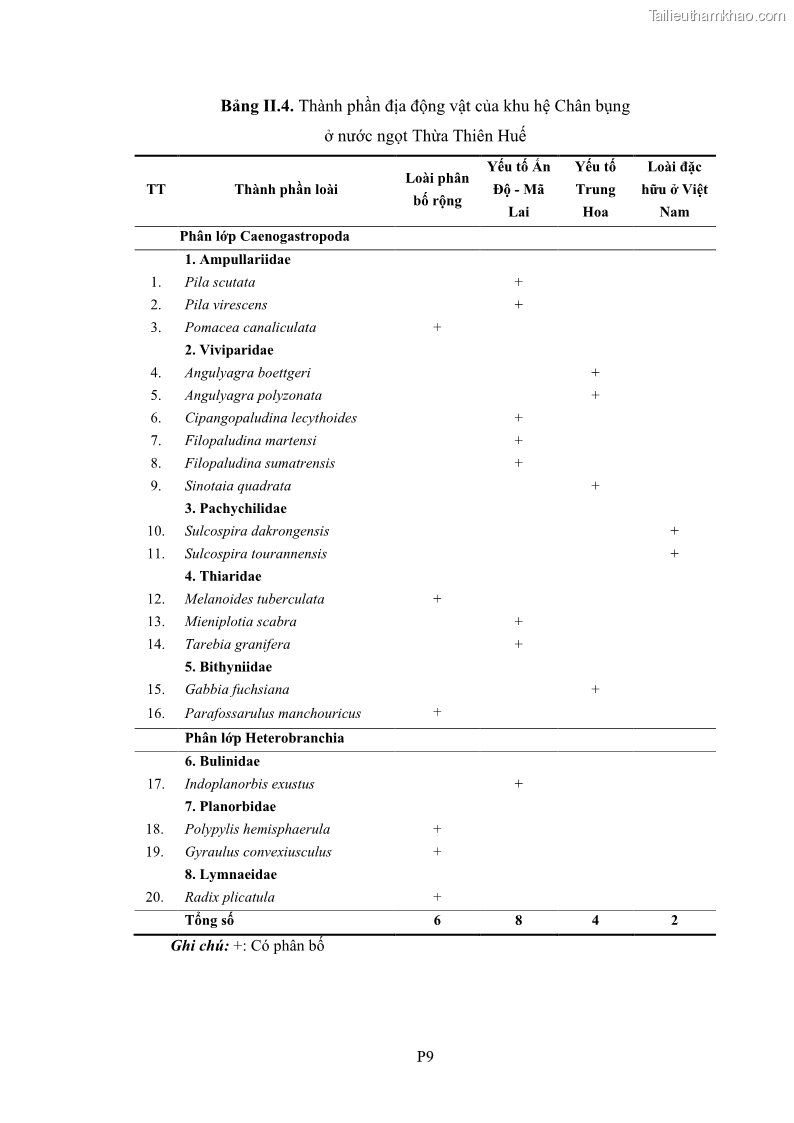 Luận án tiến sĩ sinh học Khu hệ Thân mềm Chân bụng Mollusca: Gastropoda ở nước ngọt và trên cạn Thừa Thiên Huế - 16 Trang 185