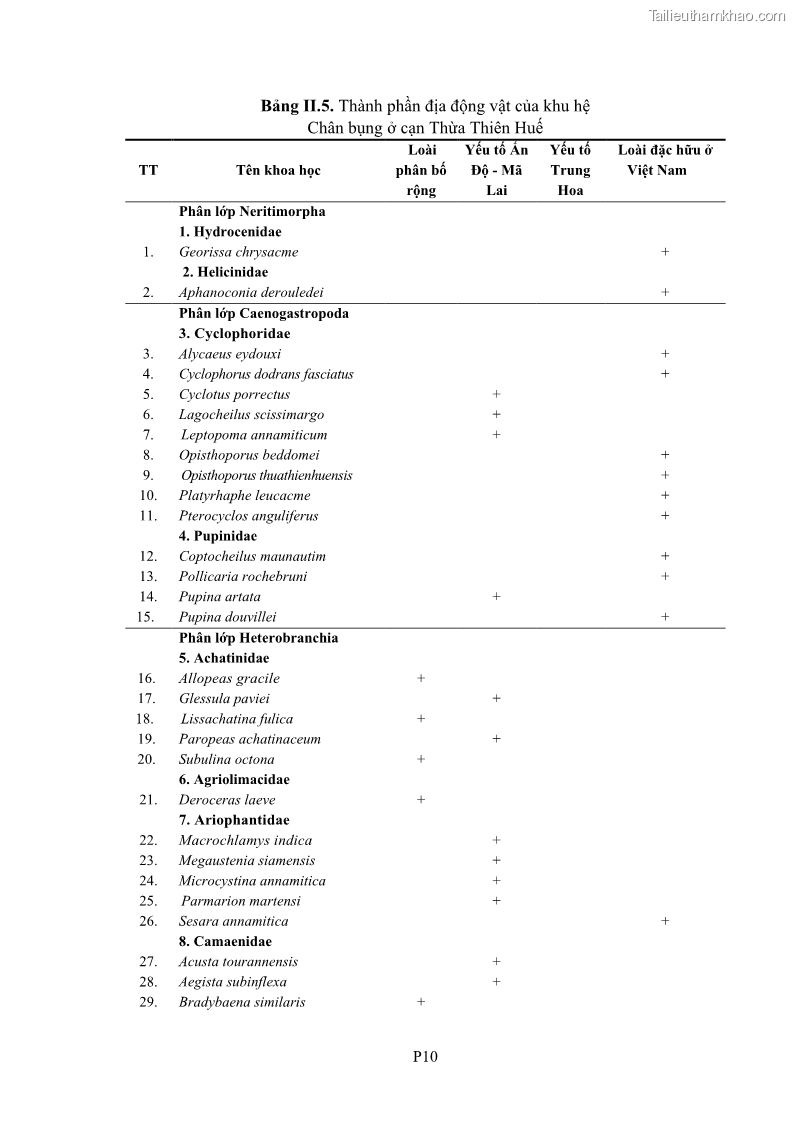 Luận án tiến sĩ sinh học Khu hệ Thân mềm Chân bụng Mollusca: Gastropoda ở nước ngọt và trên cạn Thừa Thiên Huế - 16 Trang 186