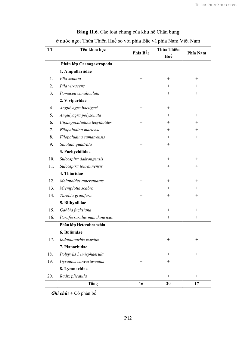 Luận án tiến sĩ sinh học Khu hệ Thân mềm Chân bụng Mollusca: Gastropoda ở nước ngọt và trên cạn Thừa Thiên Huế - 16 Trang 188