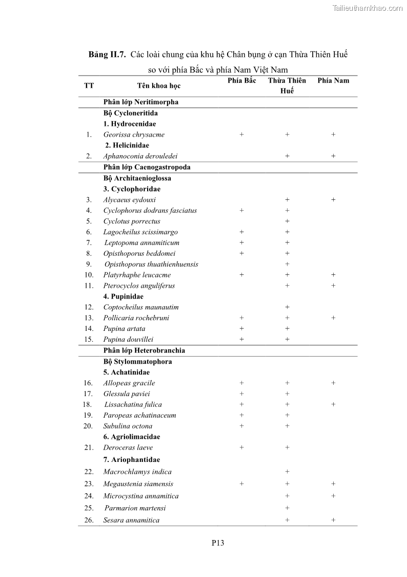 Luận án tiến sĩ sinh học Khu hệ Thân mềm Chân bụng Mollusca: Gastropoda ở nước ngọt và trên cạn Thừa Thiên Huế - 16 Trang 189