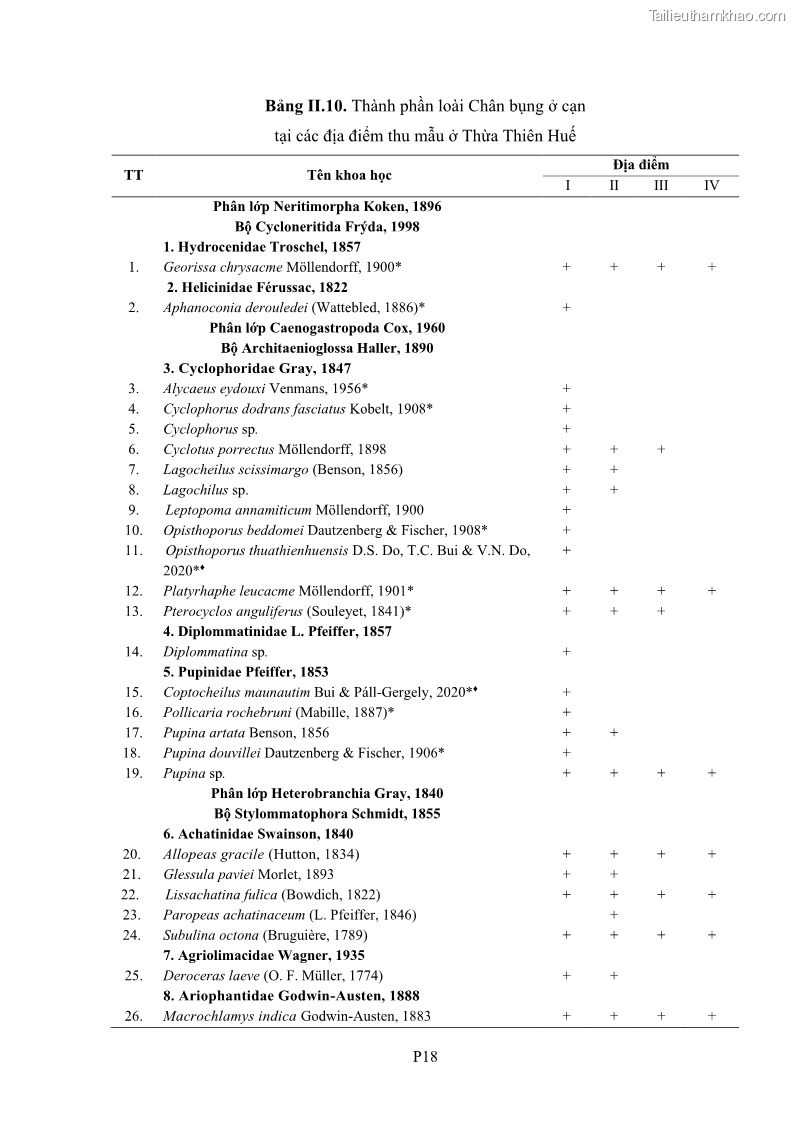 Luận án tiến sĩ sinh học Khu hệ Thân mềm Chân bụng Mollusca: Gastropoda ở nước ngọt và trên cạn Thừa Thiên Huế - 17 Trang 194