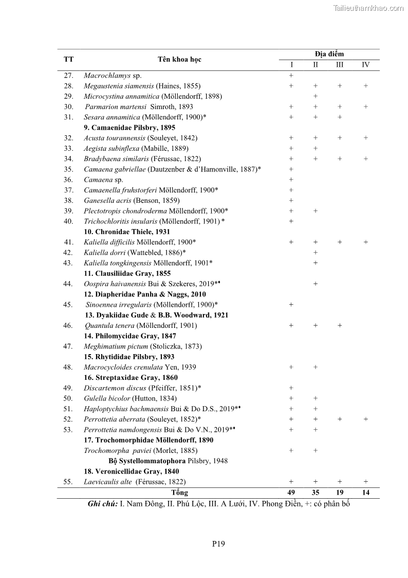 Luận án tiến sĩ sinh học Khu hệ Thân mềm Chân bụng Mollusca: Gastropoda ở nước ngọt và trên cạn Thừa Thiên Huế - 17 Trang 195