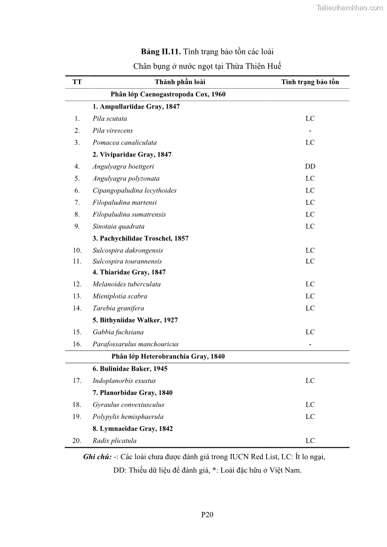 Luận án tiến sĩ sinh học Khu hệ Thân mềm Chân bụng Mollusca: Gastropoda ở nước ngọt và trên cạn Thừa Thiên Huế - 17 Trang 196