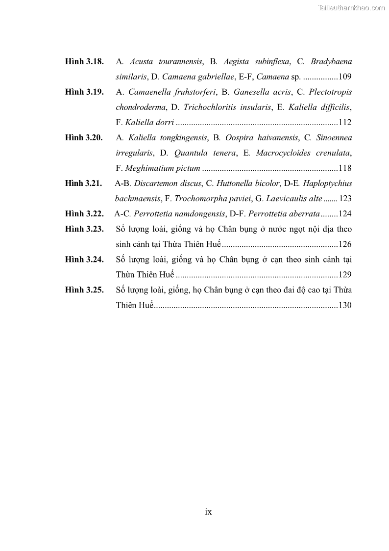 Luận án tiến sĩ sinh học Khu hệ Thân mềm Chân bụng Mollusca: Gastropoda ở nước ngọt và trên cạn Thừa Thiên Huế - 2 Trang 13