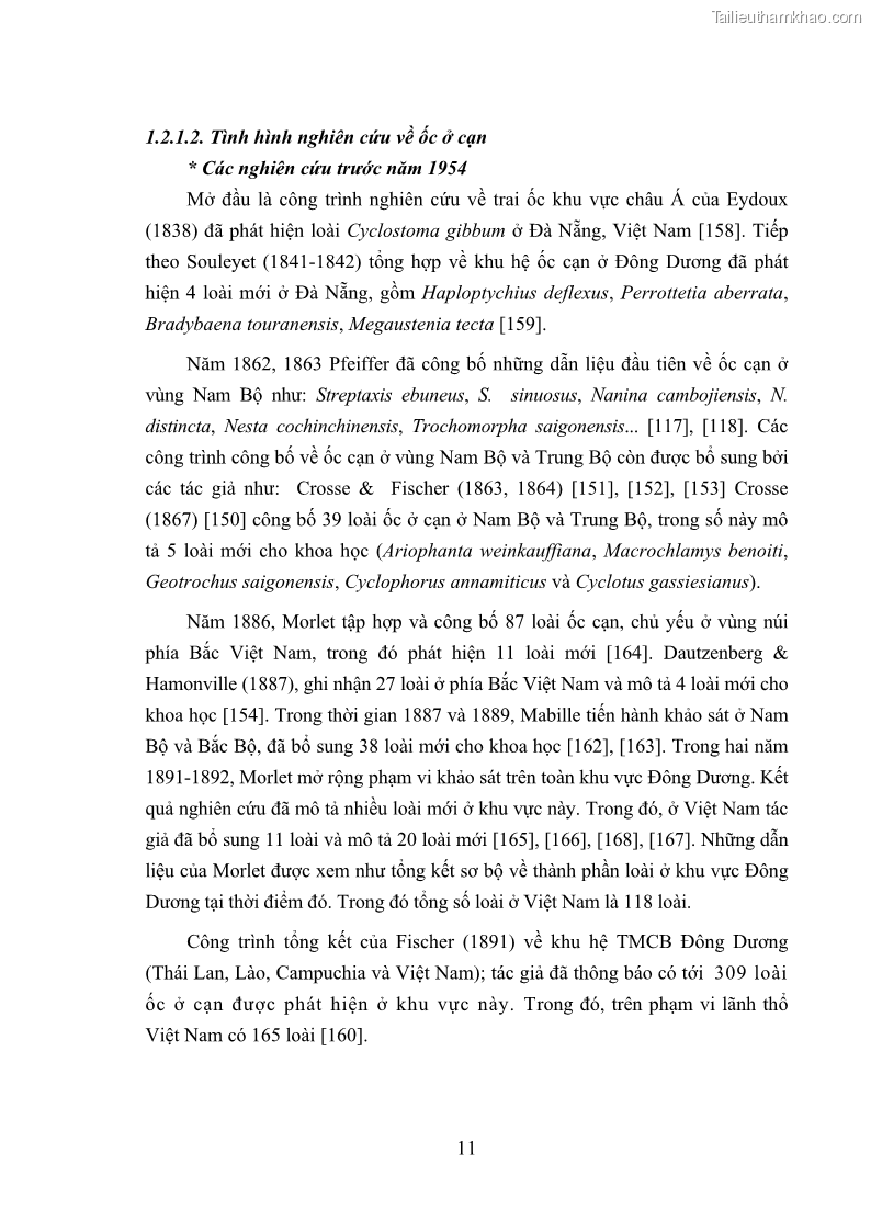 Luận án tiến sĩ sinh học Khu hệ Thân mềm Chân bụng Mollusca: Gastropoda ở nước ngọt và trên cạn Thừa Thiên Huế - 2 Trang 24