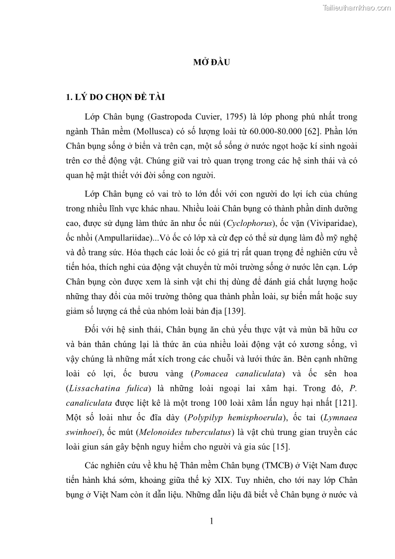 Luận án tiến sĩ sinh học Khu hệ Thân mềm Chân bụng Mollusca: Gastropoda ở nước ngọt và trên cạn Thừa Thiên Huế - 2 Trang 14