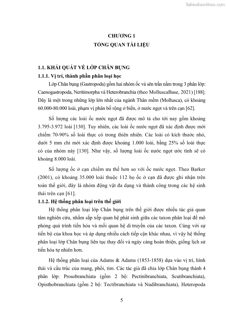 Luận án tiến sĩ sinh học Khu hệ Thân mềm Chân bụng Mollusca: Gastropoda ở nước ngọt và trên cạn Thừa Thiên Huế - 2 Trang 18