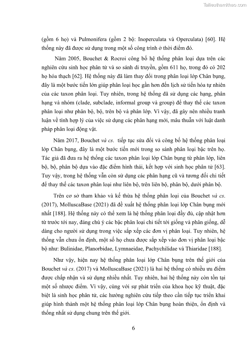Luận án tiến sĩ sinh học Khu hệ Thân mềm Chân bụng Mollusca: Gastropoda ở nước ngọt và trên cạn Thừa Thiên Huế - 2 Trang 19