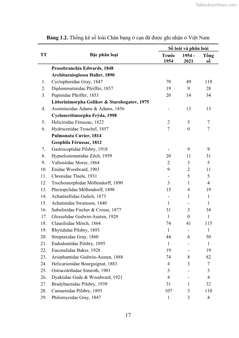 Luận án tiến sĩ sinh học Khu hệ Thân mềm Chân bụng Mollusca: Gastropoda ở nước ngọt và trên cạn Thừa Thiên Huế - 3 Trang 30