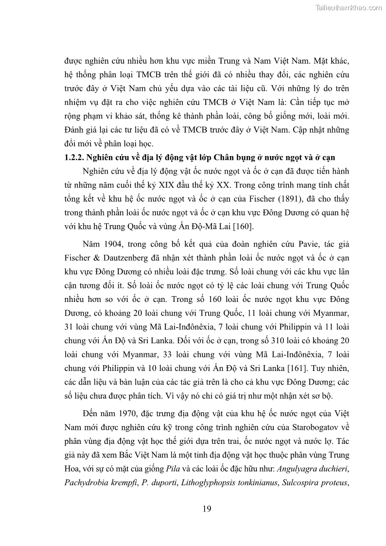 Luận án tiến sĩ sinh học Khu hệ Thân mềm Chân bụng Mollusca: Gastropoda ở nước ngọt và trên cạn Thừa Thiên Huế - 3 Trang 32