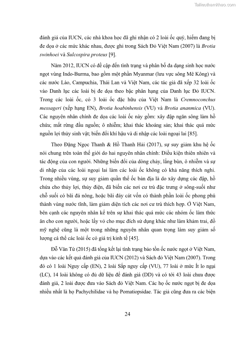 Luận án tiến sĩ sinh học Khu hệ Thân mềm Chân bụng Mollusca: Gastropoda ở nước ngọt và trên cạn Thừa Thiên Huế - 4 Trang 37
