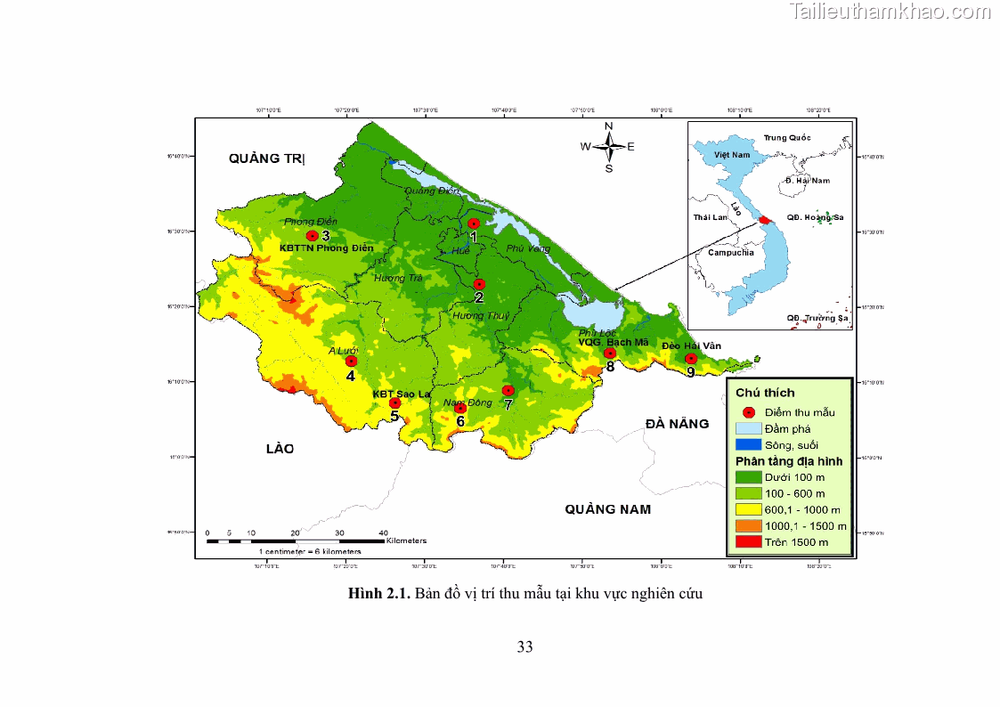 Luận án tiến sĩ sinh học Khu hệ Thân mềm Chân bụng Mollusca: Gastropoda ở nước ngọt và trên cạn Thừa Thiên Huế - 4 Trang 46