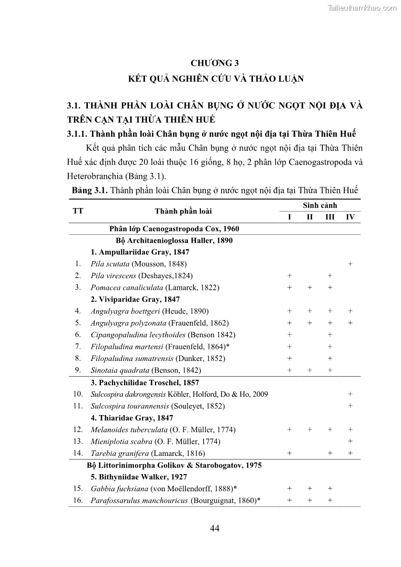 Luận án tiến sĩ sinh học Khu hệ Thân mềm Chân bụng Mollusca: Gastropoda ở nước ngọt và trên cạn Thừa Thiên Huế - 5 Trang 57