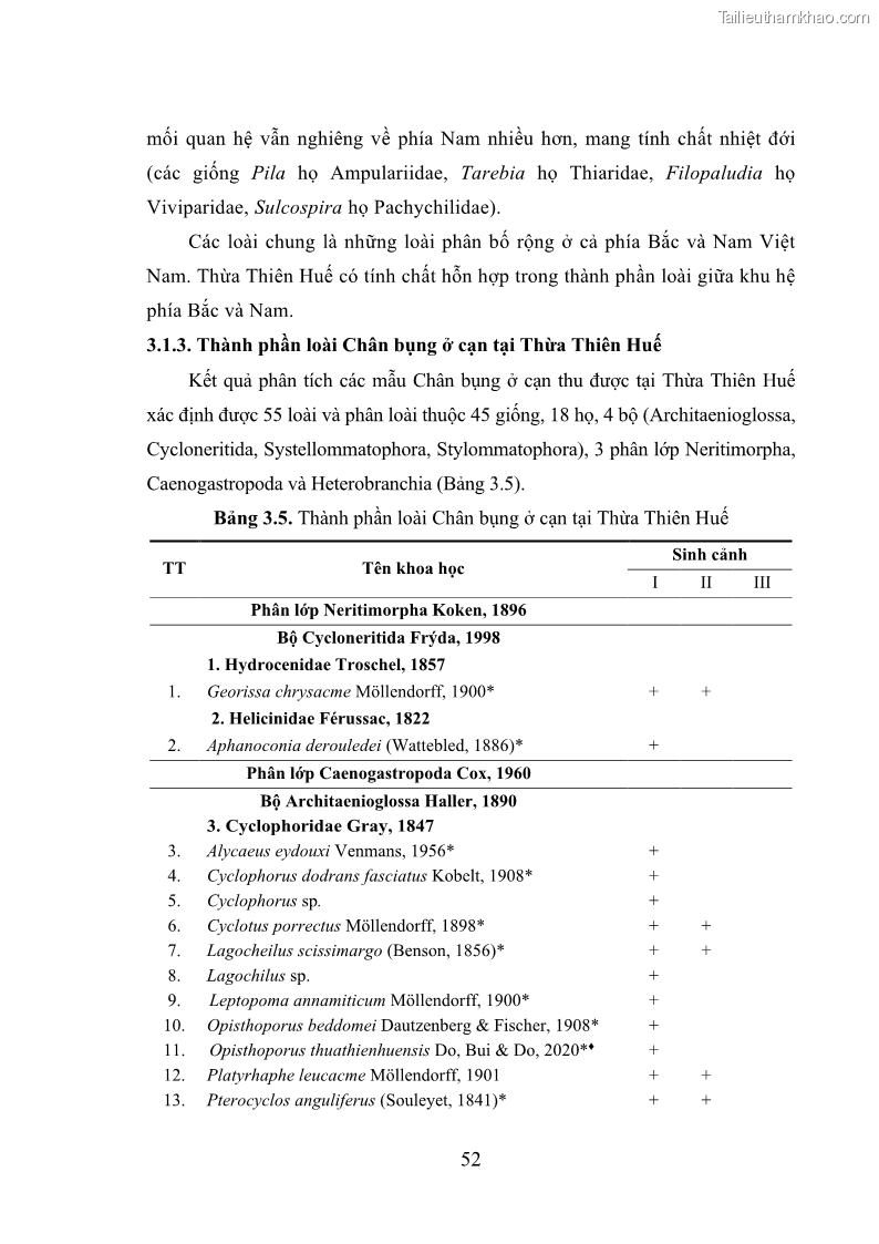 Luận án tiến sĩ sinh học Khu hệ Thân mềm Chân bụng Mollusca: Gastropoda ở nước ngọt và trên cạn Thừa Thiên Huế - 6 Trang 65