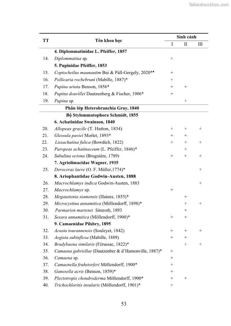Luận án tiến sĩ sinh học Khu hệ Thân mềm Chân bụng Mollusca: Gastropoda ở nước ngọt và trên cạn Thừa Thiên Huế - 6 Trang 66