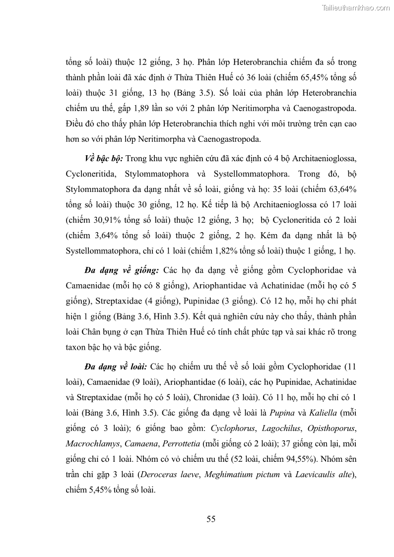 Luận án tiến sĩ sinh học Khu hệ Thân mềm Chân bụng Mollusca: Gastropoda ở nước ngọt và trên cạn Thừa Thiên Huế - 6 Trang 68
