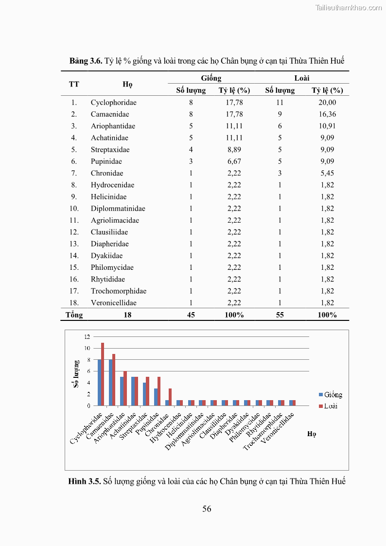 Luận án tiến sĩ sinh học Khu hệ Thân mềm Chân bụng Mollusca: Gastropoda ở nước ngọt và trên cạn Thừa Thiên Huế - 6 Trang 69