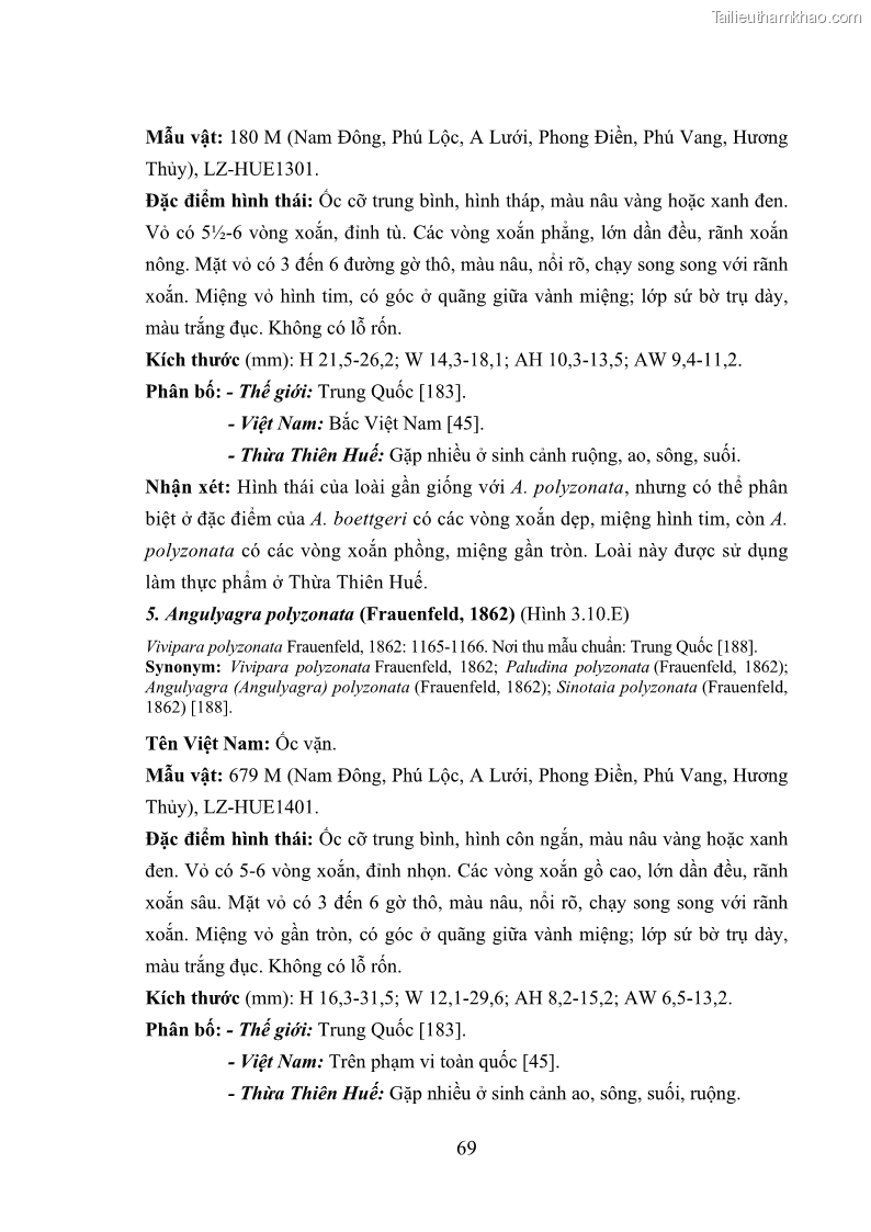 Luận án tiến sĩ sinh học Khu hệ Thân mềm Chân bụng Mollusca: Gastropoda ở nước ngọt và trên cạn Thừa Thiên Huế - 7 Trang 82