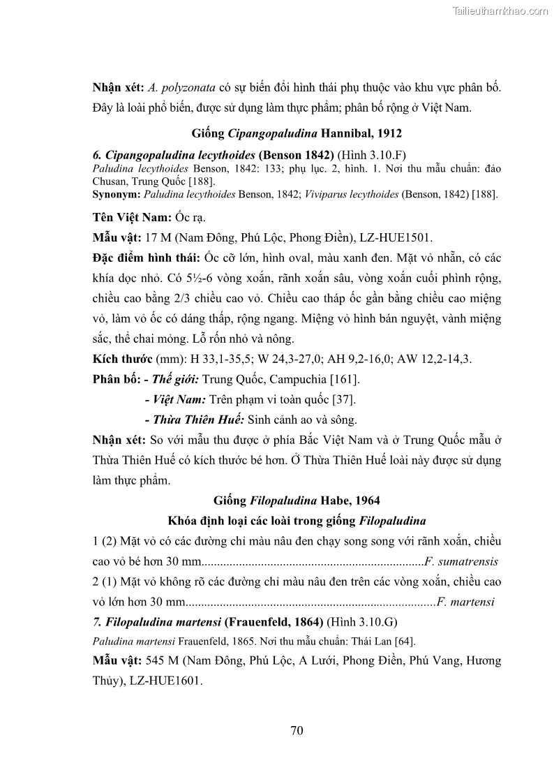 Luận án tiến sĩ sinh học Khu hệ Thân mềm Chân bụng Mollusca: Gastropoda ở nước ngọt và trên cạn Thừa Thiên Huế - 7 Trang 83
