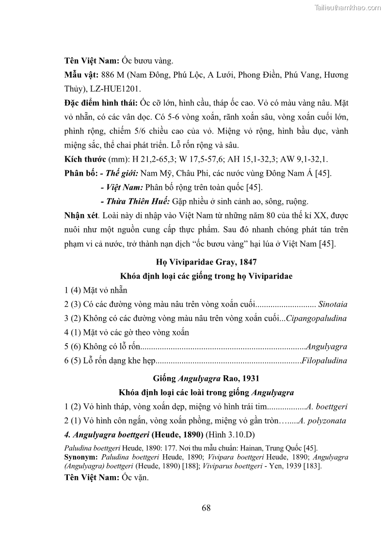 Luận án tiến sĩ sinh học Khu hệ Thân mềm Chân bụng Mollusca: Gastropoda ở nước ngọt và trên cạn Thừa Thiên Huế - 7 Trang 81