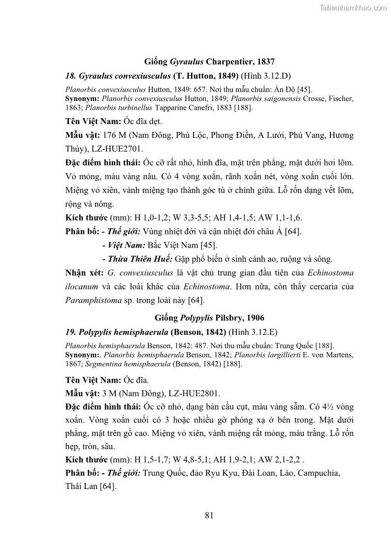 Luận án tiến sĩ sinh học Khu hệ Thân mềm Chân bụng Mollusca: Gastropoda ở nước ngọt và trên cạn Thừa Thiên Huế - 8 Trang 94