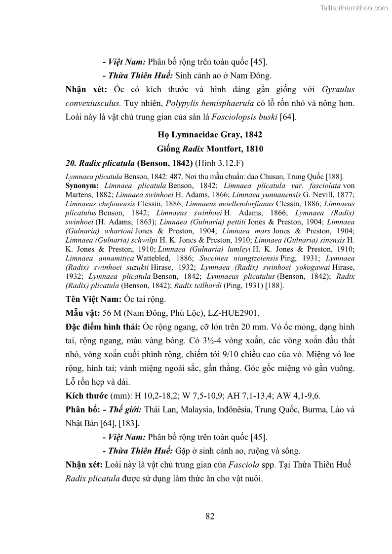 Luận án tiến sĩ sinh học Khu hệ Thân mềm Chân bụng Mollusca: Gastropoda ở nước ngọt và trên cạn Thừa Thiên Huế - 8 Trang 95
