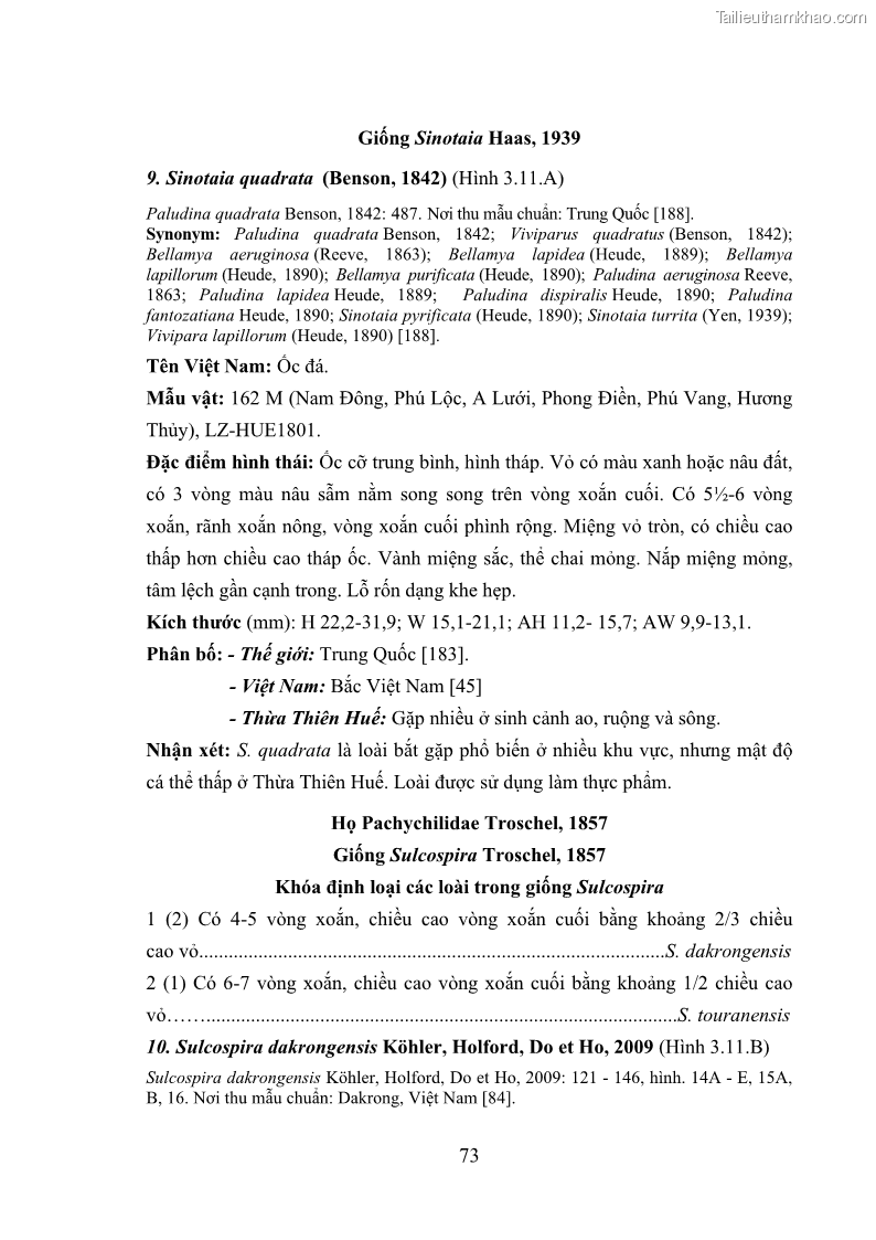 Luận án tiến sĩ sinh học Khu hệ Thân mềm Chân bụng Mollusca: Gastropoda ở nước ngọt và trên cạn Thừa Thiên Huế - 8 Trang 86