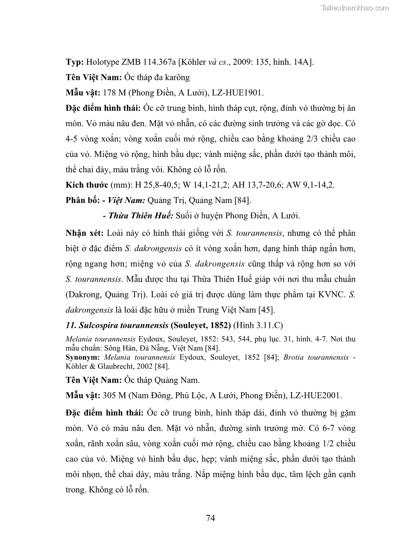 Luận án tiến sĩ sinh học Khu hệ Thân mềm Chân bụng Mollusca: Gastropoda ở nước ngọt và trên cạn Thừa Thiên Huế - 8 Trang 87