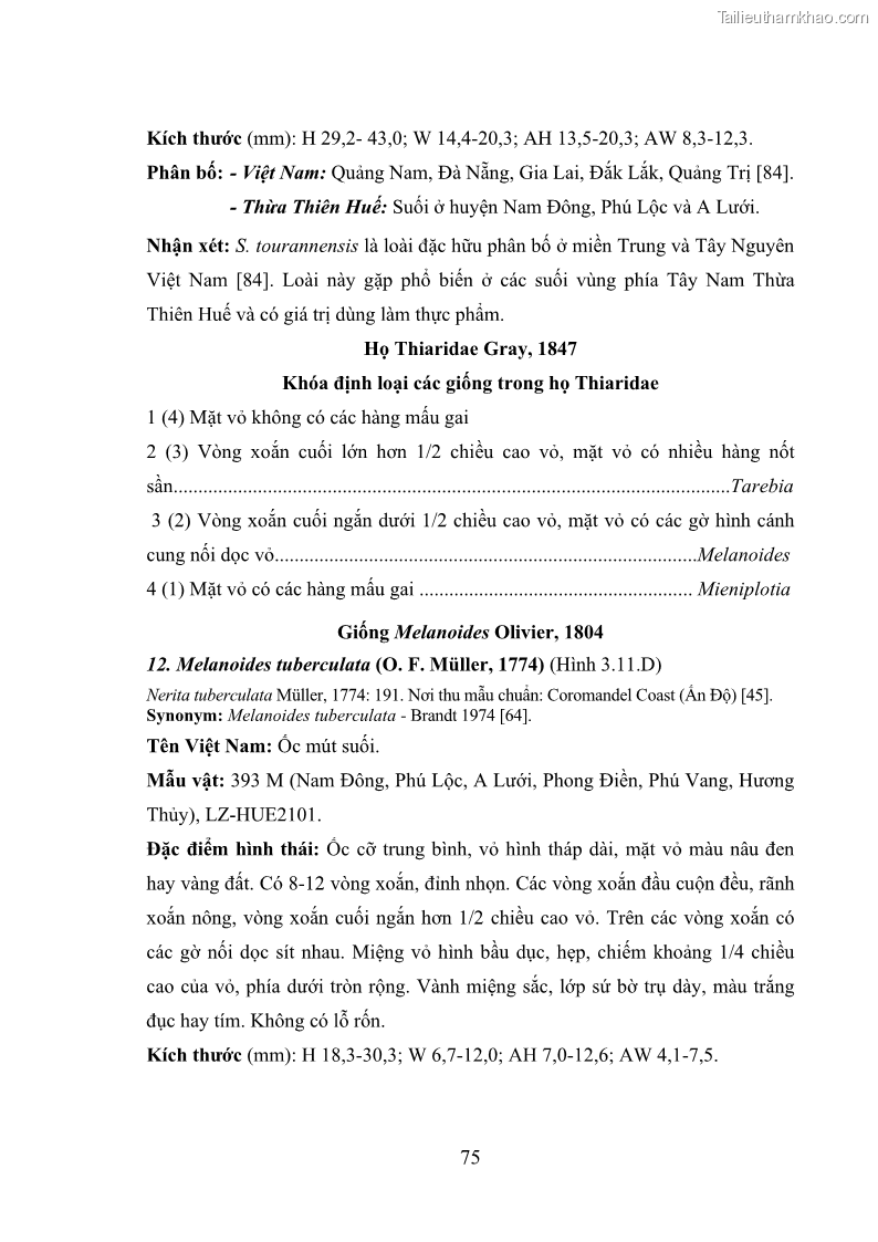 Luận án tiến sĩ sinh học Khu hệ Thân mềm Chân bụng Mollusca: Gastropoda ở nước ngọt và trên cạn Thừa Thiên Huế - 8 Trang 88