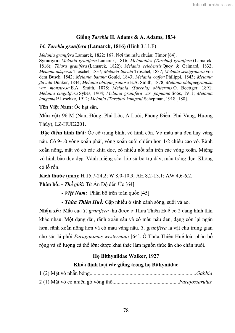 Luận án tiến sĩ sinh học Khu hệ Thân mềm Chân bụng Mollusca: Gastropoda ở nước ngọt và trên cạn Thừa Thiên Huế - 8 Trang 91