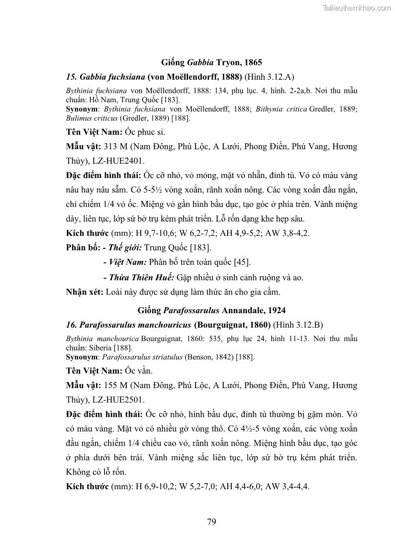 Luận án tiến sĩ sinh học Khu hệ Thân mềm Chân bụng Mollusca: Gastropoda ở nước ngọt và trên cạn Thừa Thiên Huế - 8 Trang 92