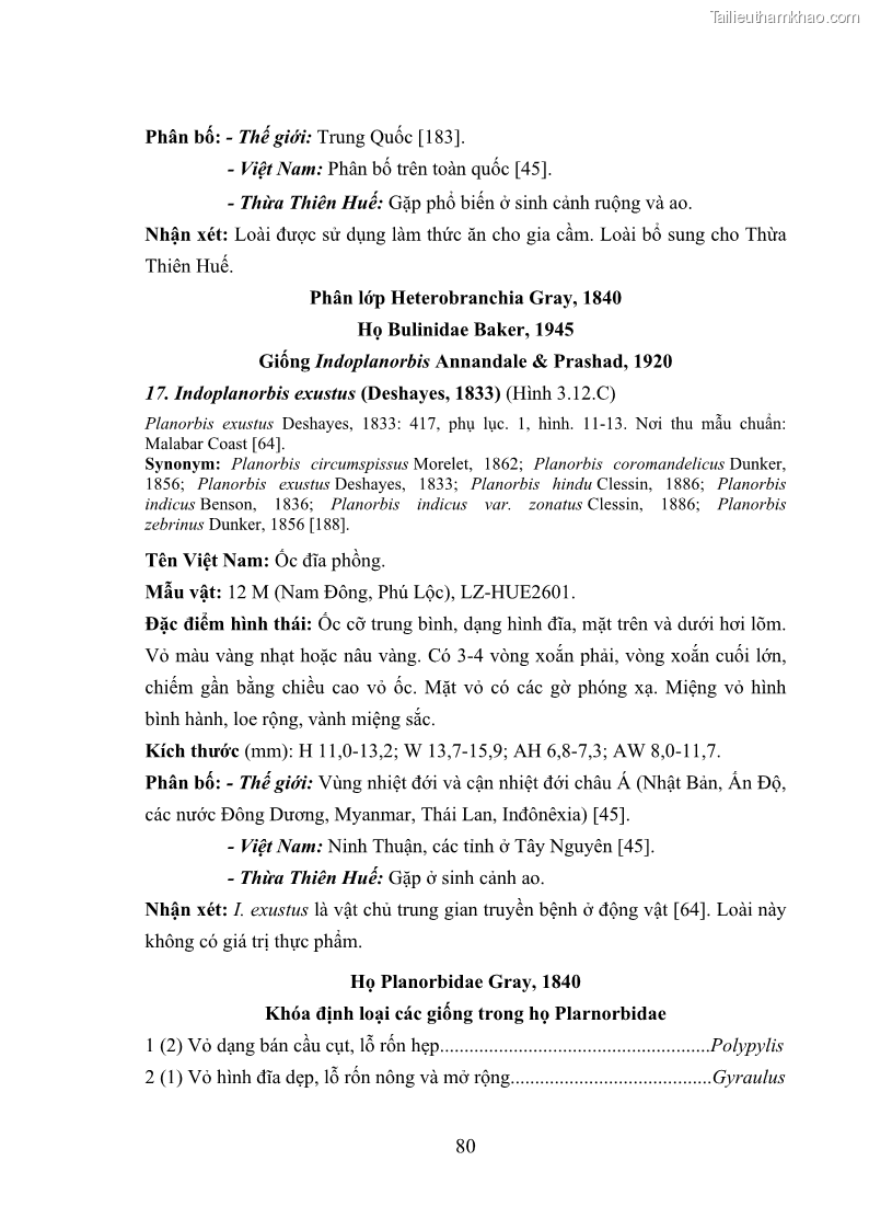 Luận án tiến sĩ sinh học Khu hệ Thân mềm Chân bụng Mollusca: Gastropoda ở nước ngọt và trên cạn Thừa Thiên Huế - 8 Trang 93