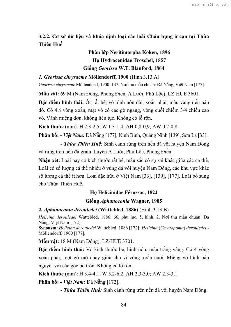 Luận án tiến sĩ sinh học Khu hệ Thân mềm Chân bụng Mollusca: Gastropoda ở nước ngọt và trên cạn Thừa Thiên Huế - 9 Trang 97