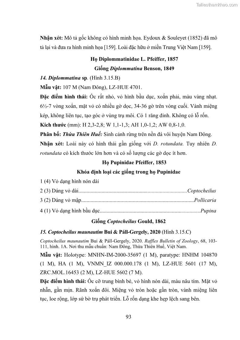 Luận án tiến sĩ sinh học Khu hệ Thân mềm Chân bụng Mollusca: Gastropoda ở nước ngọt và trên cạn Thừa Thiên Huế - 9 Trang 106