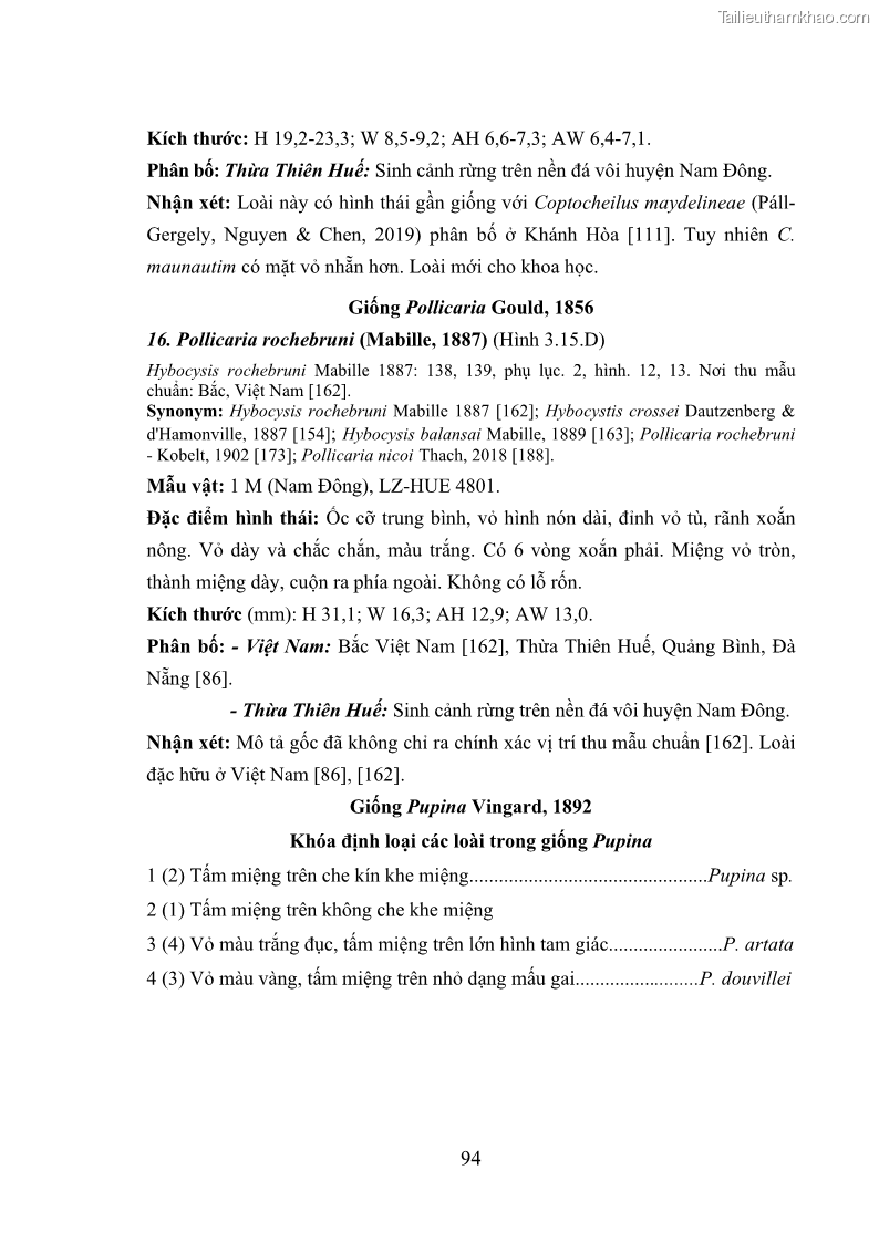 Luận án tiến sĩ sinh học Khu hệ Thân mềm Chân bụng Mollusca: Gastropoda ở nước ngọt và trên cạn Thừa Thiên Huế - 9 Trang 107