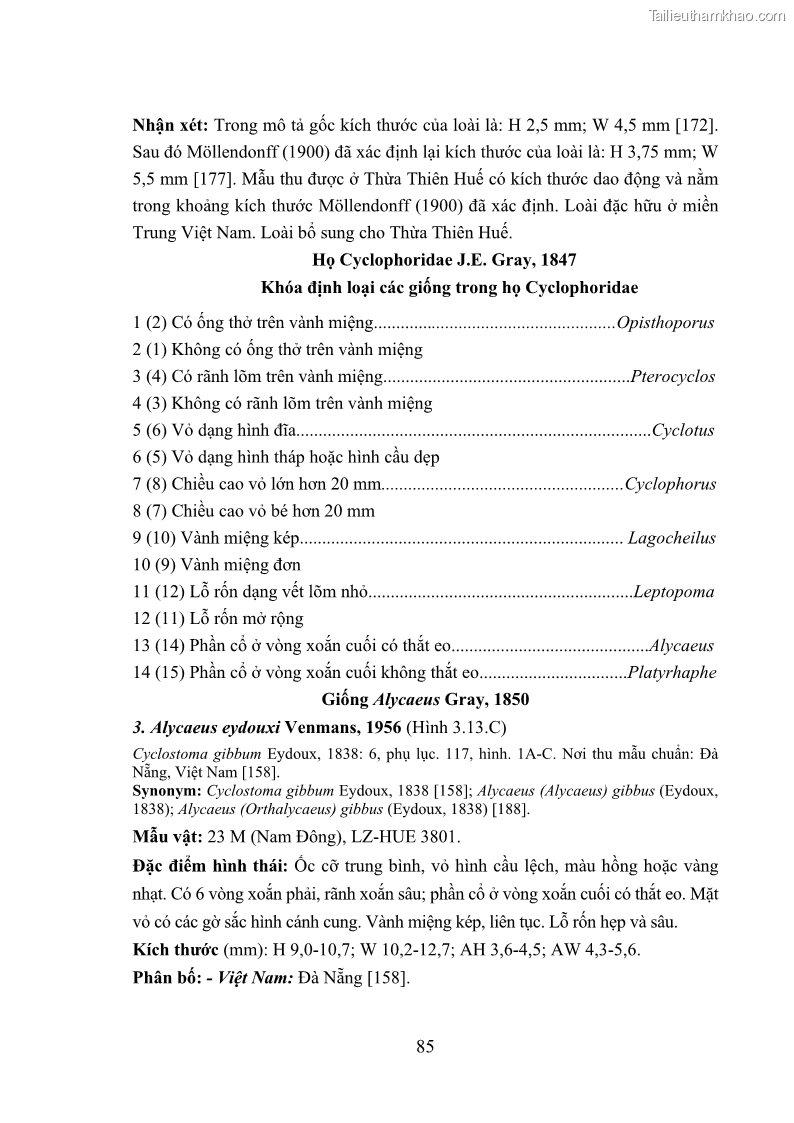 Luận án tiến sĩ sinh học Khu hệ Thân mềm Chân bụng Mollusca: Gastropoda ở nước ngọt và trên cạn Thừa Thiên Huế - 9 Trang 98