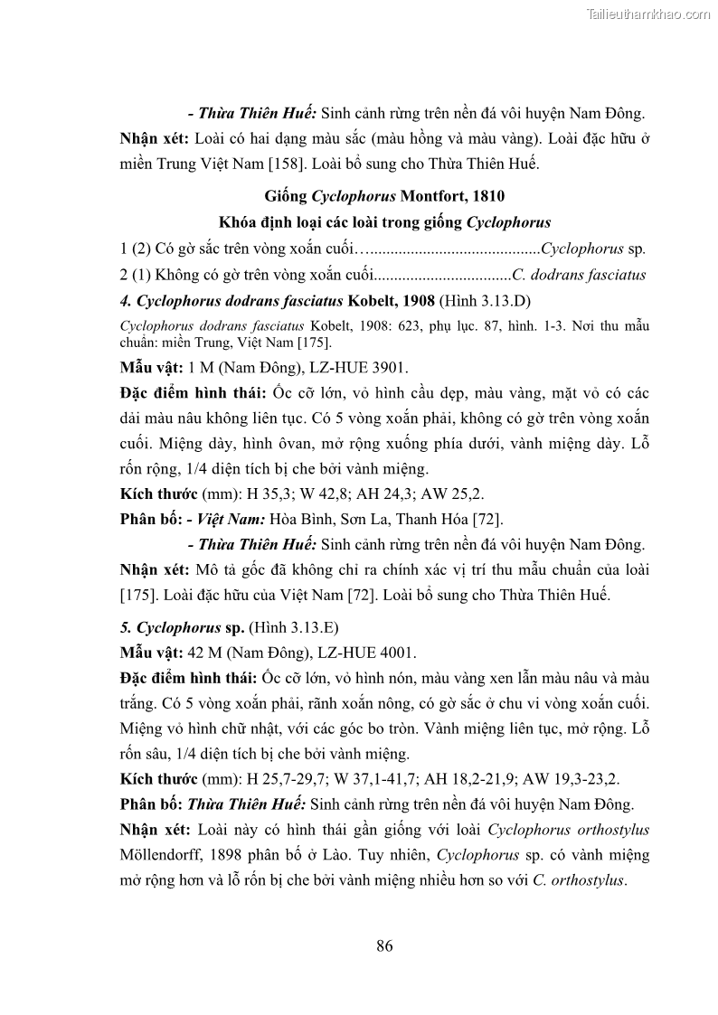 Luận án tiến sĩ sinh học Khu hệ Thân mềm Chân bụng Mollusca: Gastropoda ở nước ngọt và trên cạn Thừa Thiên Huế - 9 Trang 99