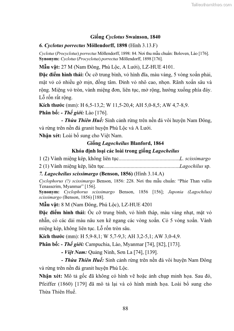 Luận án tiến sĩ sinh học Khu hệ Thân mềm Chân bụng Mollusca: Gastropoda ở nước ngọt và trên cạn Thừa Thiên Huế - 9 Trang 101